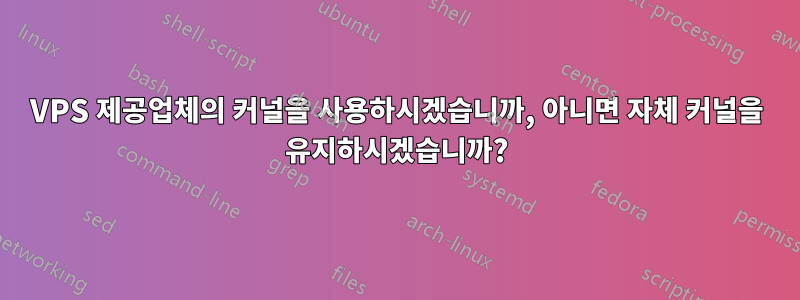VPS 제공업체의 커널을 사용하시겠습니까, 아니면 자체 커널을 유지하시겠습니까?