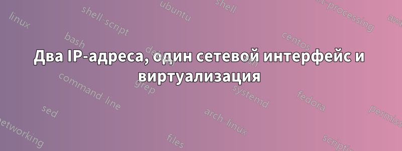 Два IP-адреса, один сетевой интерфейс и виртуализация