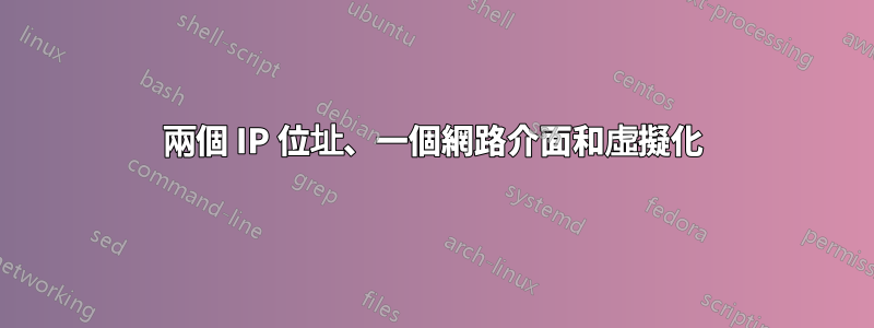 兩個 IP 位址、一個網路介面和虛擬化