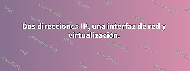 Dos direcciones IP, una interfaz de red y virtualización.