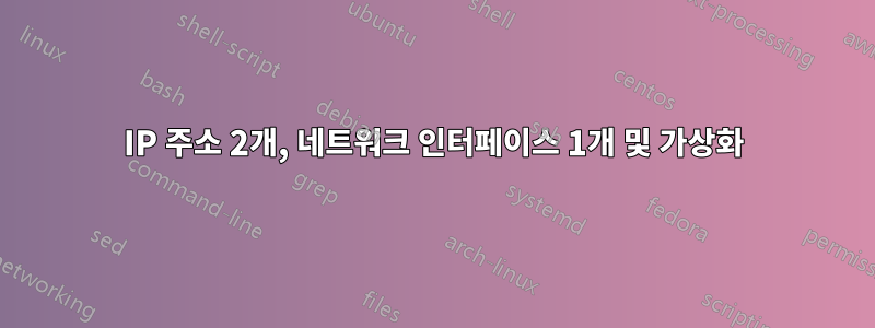 IP 주소 2개, 네트워크 인터페이스 1개 및 가상화