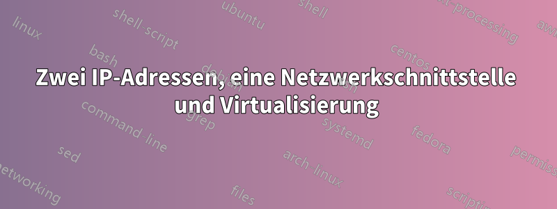 Zwei IP-Adressen, eine Netzwerkschnittstelle und Virtualisierung