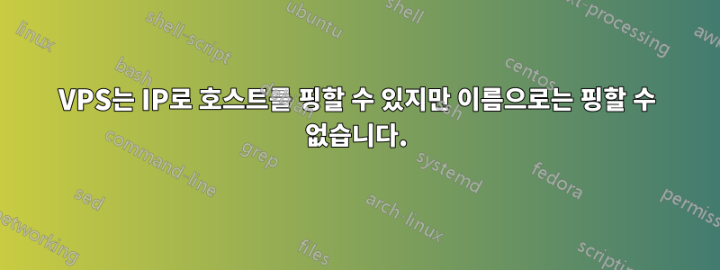 VPS는 IP로 호스트를 핑할 수 있지만 이름으로는 핑할 수 없습니다.