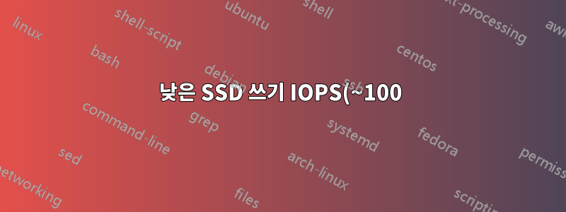 낮은 SSD 쓰기 IOPS(~100)