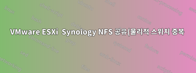 VMware ESXi Synology NFS 공유(물리적 스위치 중복)