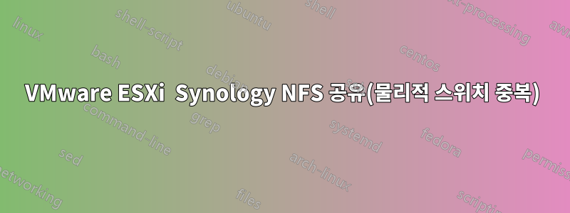 VMware ESXi  Synology NFS 공유(물리적 스위치 중복)