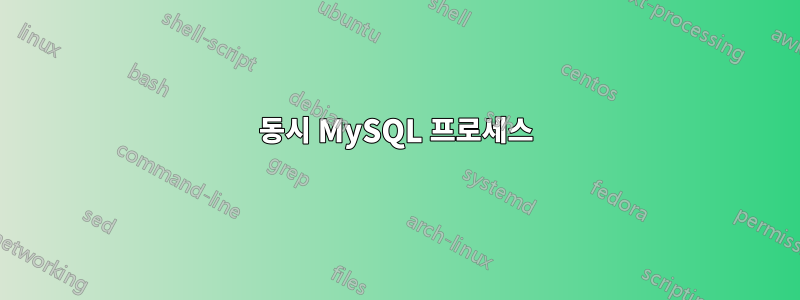 동시 MySQL 프로세스
