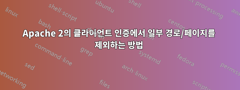 Apache 2의 클라이언트 인증에서 일부 경로/페이지를 제외하는 방법