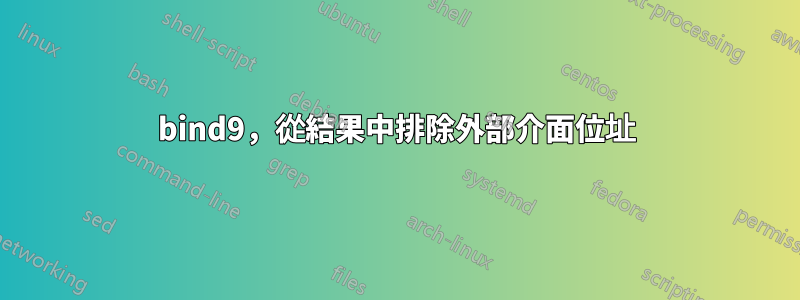 bind9，從結果中排除外部介面位址