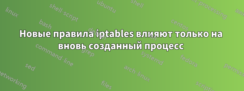 Новые правила iptables влияют только на вновь созданный процесс