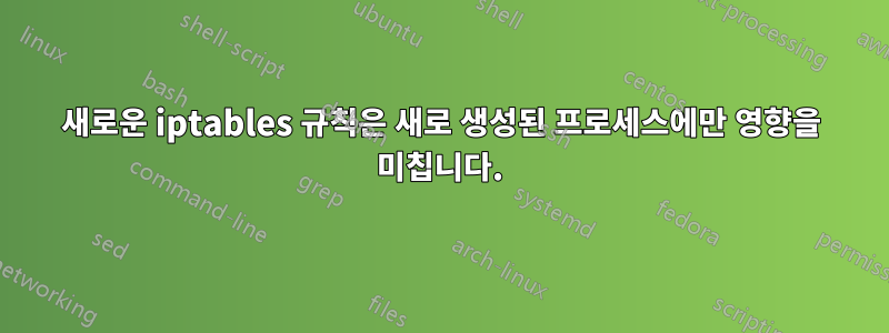 새로운 iptables 규칙은 새로 생성된 프로세스에만 영향을 미칩니다.