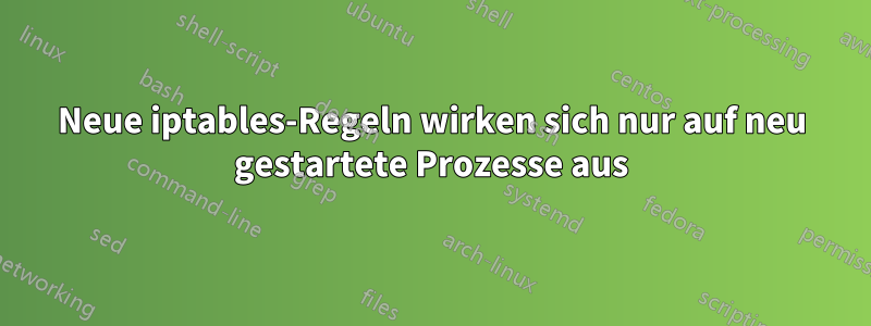 Neue iptables-Regeln wirken sich nur auf neu gestartete Prozesse aus