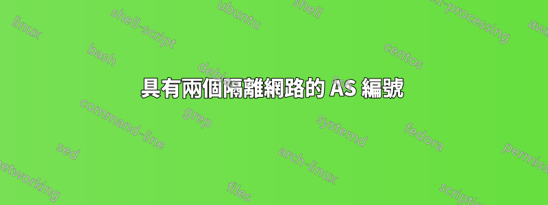 具有兩個隔離網路的 AS 編號