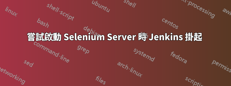 嘗試啟動 Selenium Server 時 Jenkins 掛起