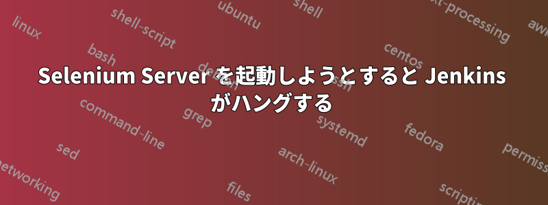 Selenium Server を起動しようとすると Jenkins がハングする