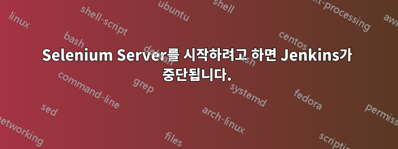 Selenium Server를 시작하려고 하면 Jenkins가 중단됩니다.