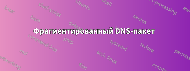 Фрагментированный DNS-пакет