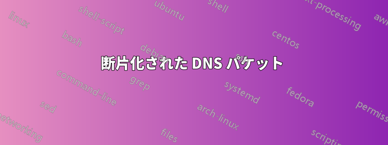 断片化された DNS パケット