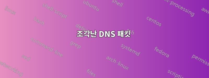 조각난 DNS 패킷