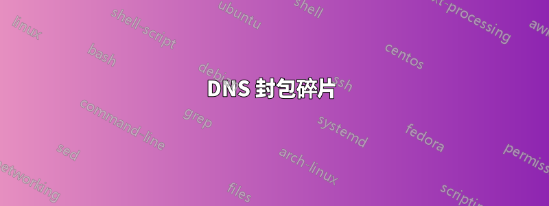 DNS 封包碎片