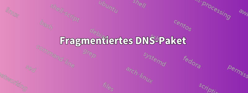 Fragmentiertes DNS-Paket