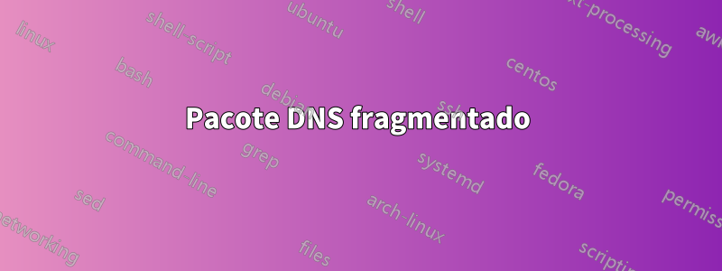 Pacote DNS fragmentado