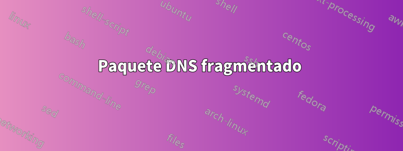 Paquete DNS fragmentado