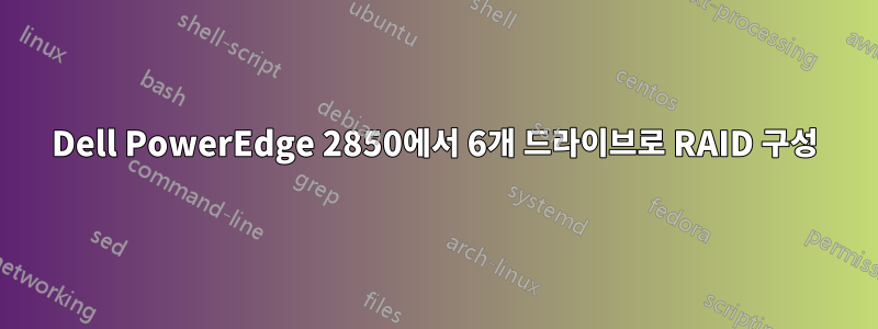 Dell PowerEdge 2850에서 6개 드라이브로 RAID 구성