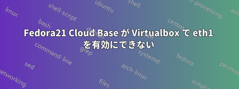 Fedora21 Cloud Base が Virtualbox で eth1 を有効にできない