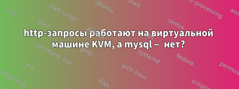 http-запросы работают на виртуальной машине KVM, а mysql — нет?