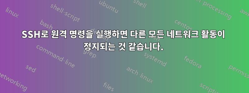 SSH로 원격 명령을 실행하면 다른 모든 네트워크 활동이 정지되는 것 같습니다.