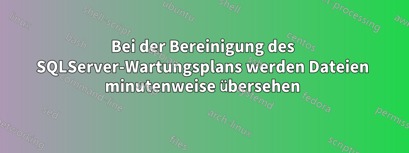 Bei der Bereinigung des SQLServer-Wartungsplans werden Dateien minutenweise übersehen