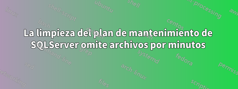 La limpieza del plan de mantenimiento de SQLServer omite archivos por minutos