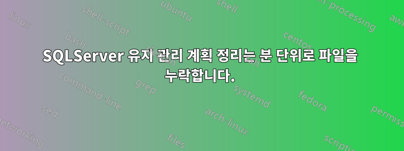 SQLServer 유지 관리 계획 정리는 분 단위로 파일을 누락합니다.