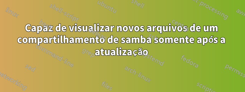 Capaz de visualizar novos arquivos de um compartilhamento de samba somente após a atualização