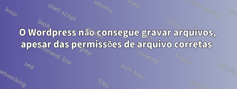 O Wordpress não consegue gravar arquivos, apesar das permissões de arquivo corretas 