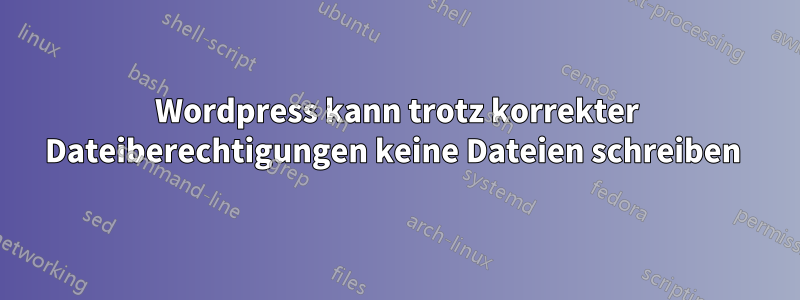 Wordpress kann trotz korrekter Dateiberechtigungen keine Dateien schreiben 