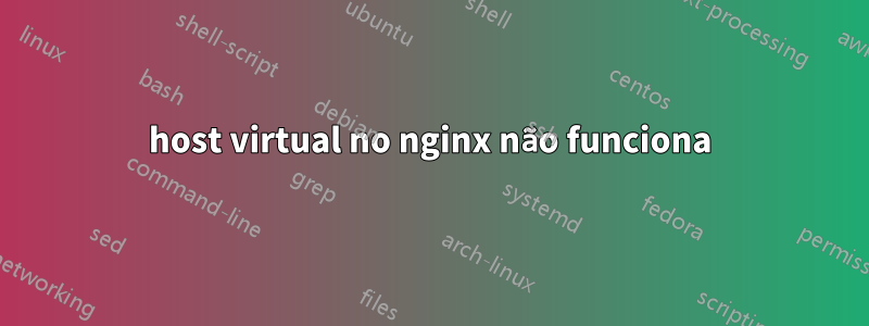 host virtual no nginx não funciona