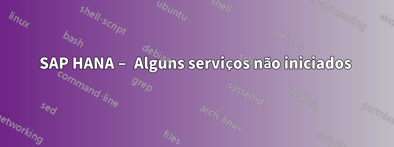 SAP HANA – Alguns serviços não iniciados