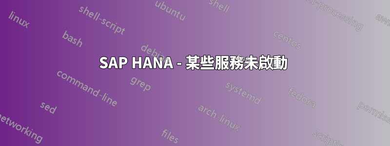 SAP HANA - 某些服務未啟動