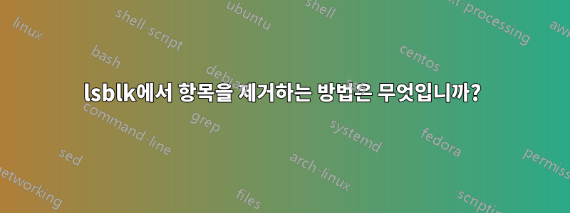 lsblk에서 항목을 제거하는 방법은 무엇입니까?