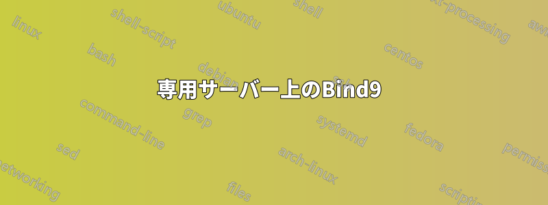 専用サーバー上のBind9 