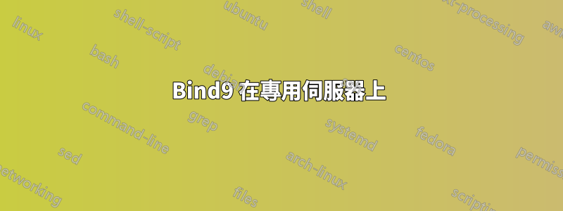 Bind9 在專用伺服器上