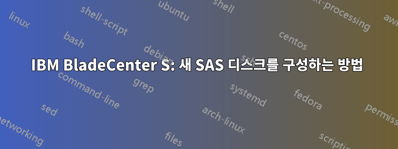 IBM BladeCenter S: 새 SAS 디스크를 구성하는 방법