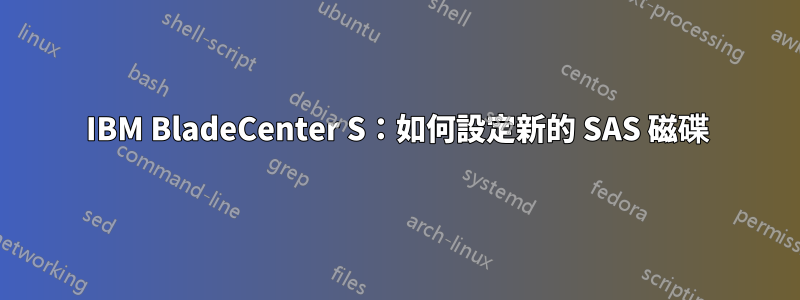 IBM BladeCenter S：如何設定新的 SAS 磁碟