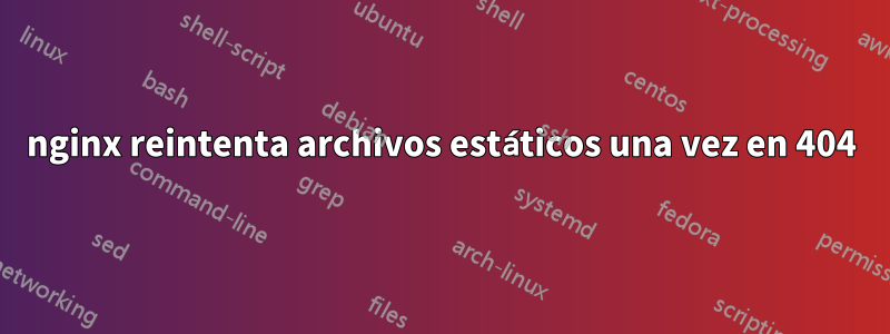 nginx reintenta archivos estáticos una vez en 404