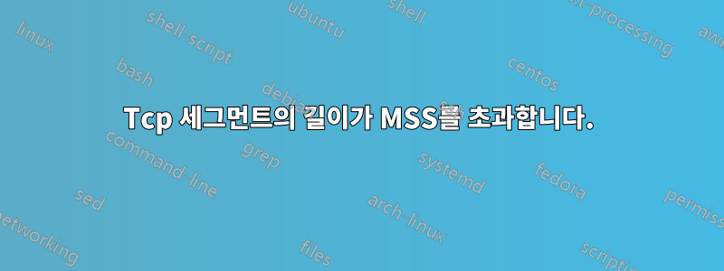 Tcp 세그먼트의 길이가 MSS를 초과합니다.