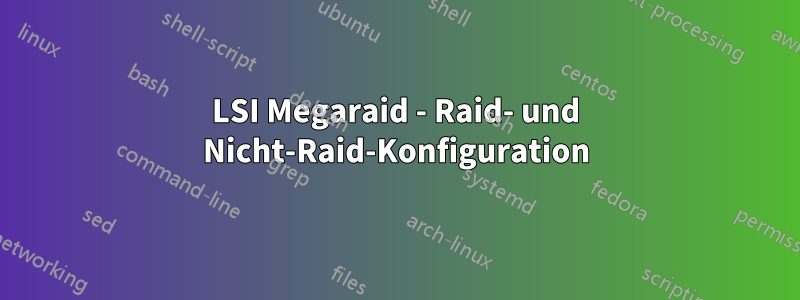 LSI Megaraid - Raid- und Nicht-Raid-Konfiguration