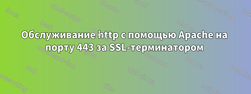 Обслуживание http с помощью Apache на порту 443 за SSL-терминатором