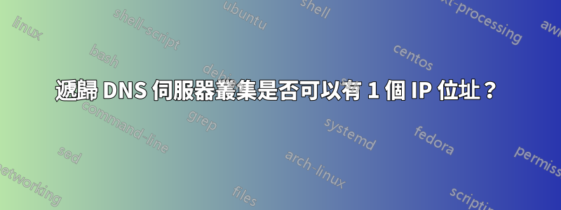 遞歸 DNS 伺服器叢集是否可以有 1 個 IP 位址？